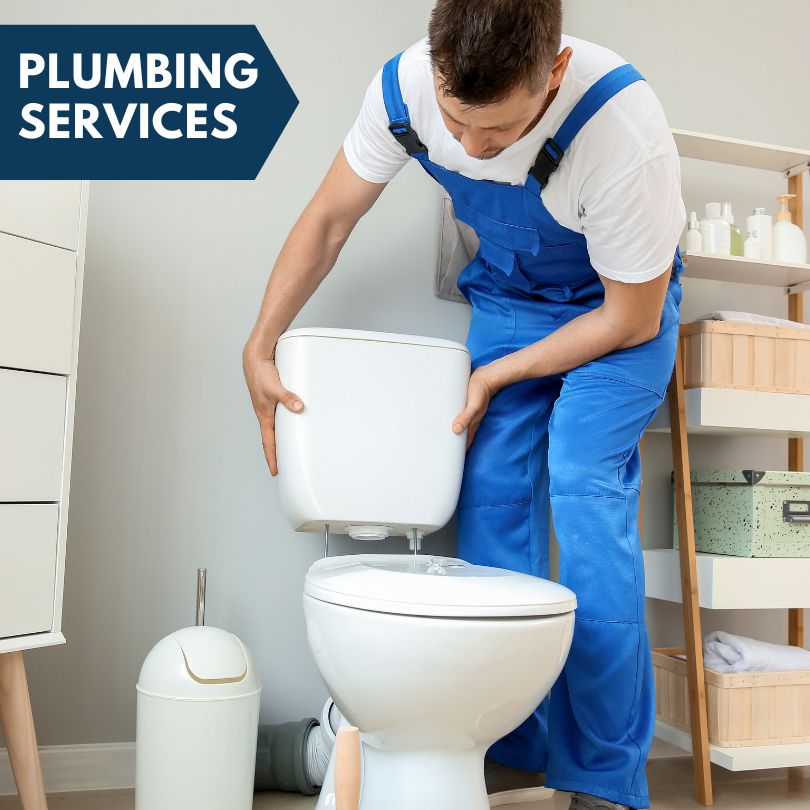 Plumbing Company in Farmer City, IL